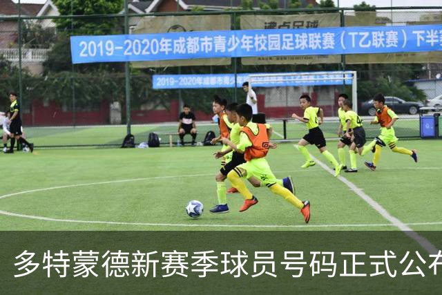 多特蒙德新赛季球员号码正式公布：贝林厄姆穿7号，卡雷查斯佩戴19号
